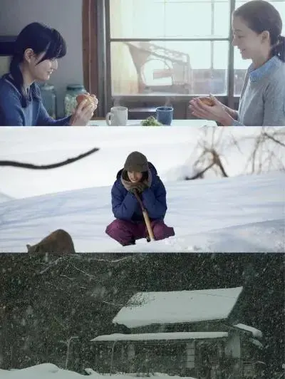 豆瓣9.0分，这才是真正“向往的生活”❗️❗️