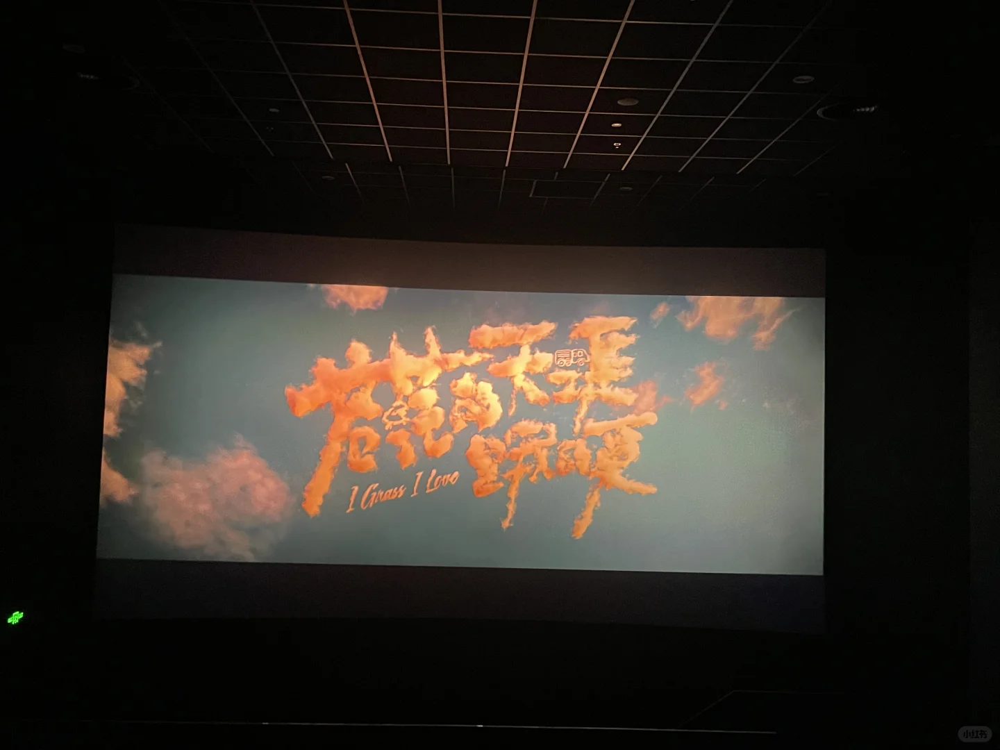 人生第一次与妈妈看电影🎬