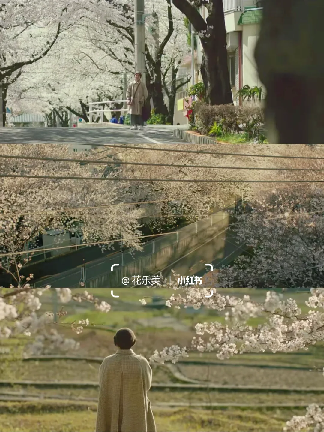 看哭了😭今年看过最好看的电影，没有之一‼️