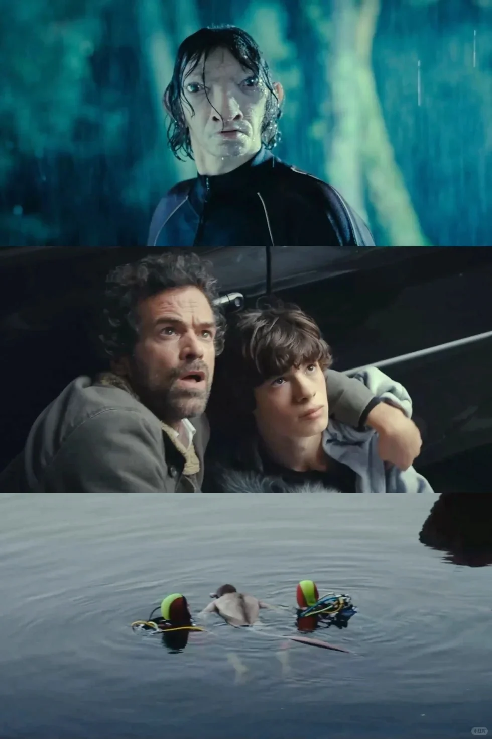 这电影可以看了