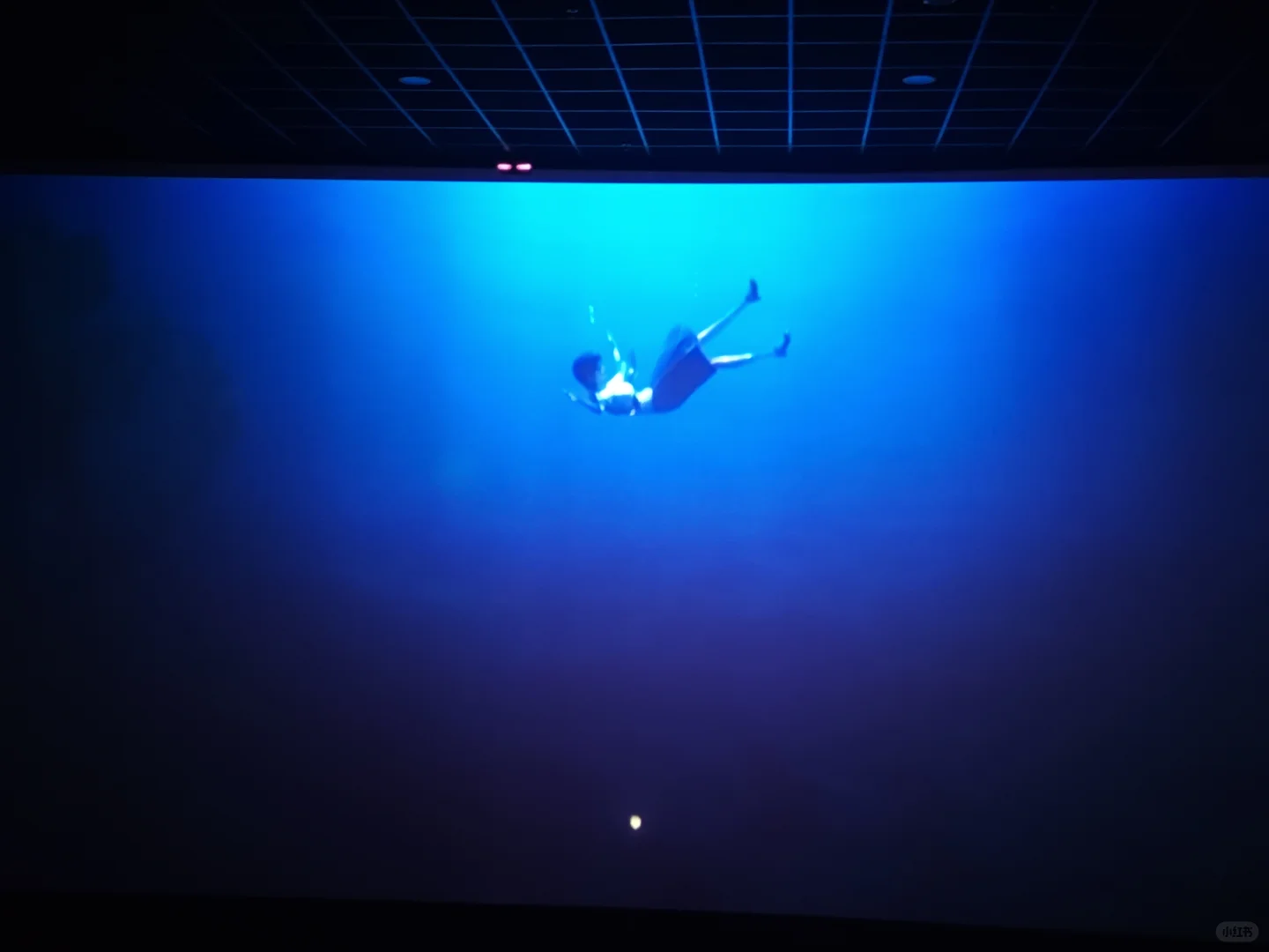 二刷时间之子 脑壳都哭晕了😭