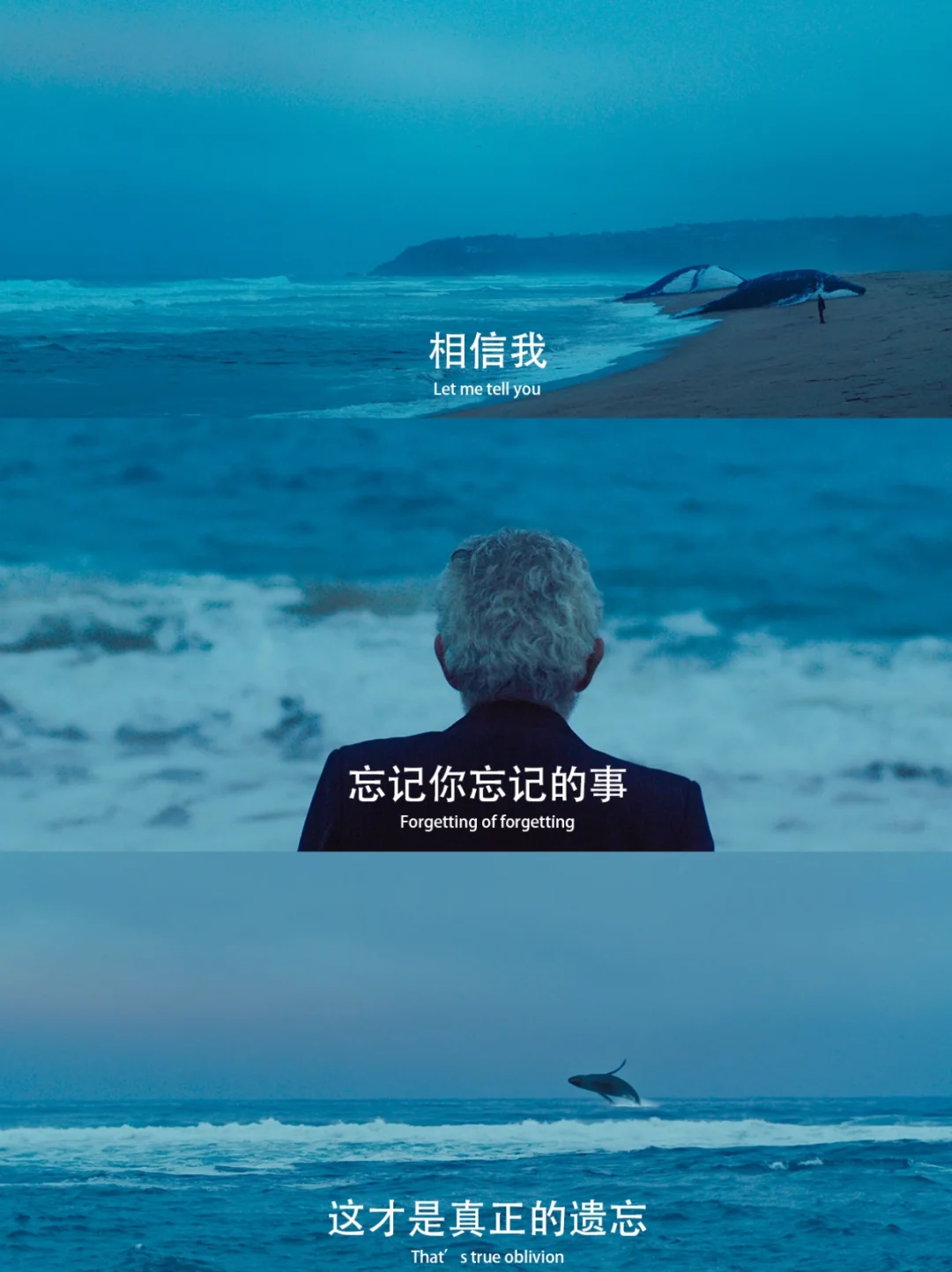 冷门神作后劲太大！美到窒息的“遗忘之诗”