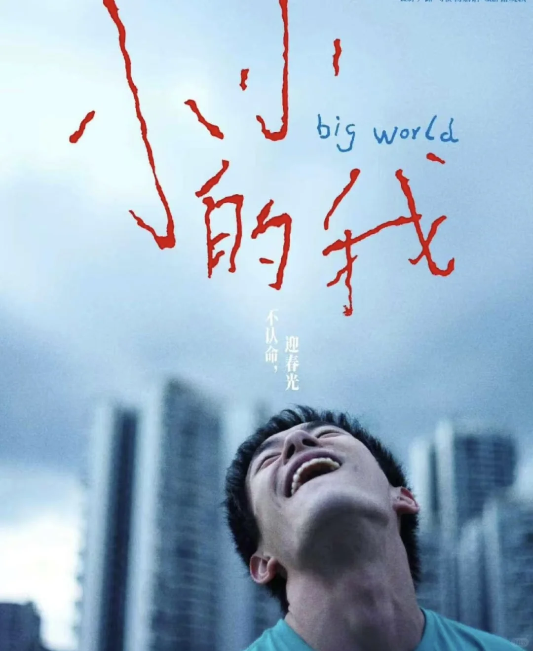 横扫各大奖项！