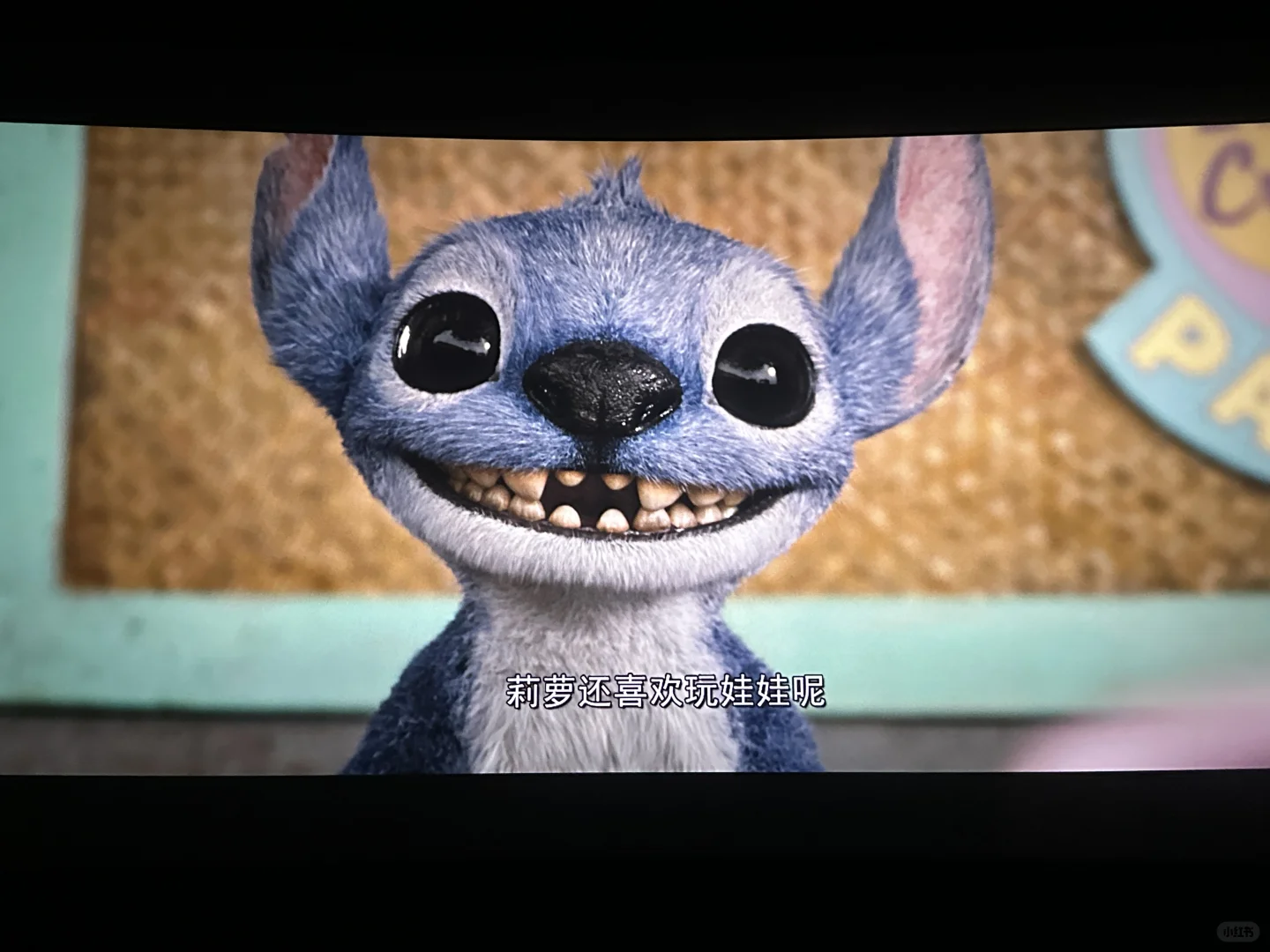 让我看看谁还没有去看史迪仔电影🎬