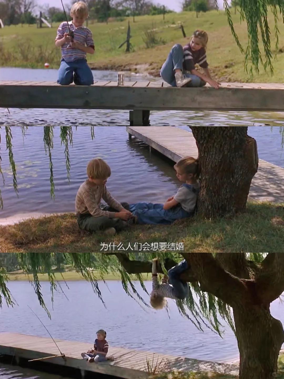 绝了😭比怦然心动还戳我的电影❗️❗❗️️