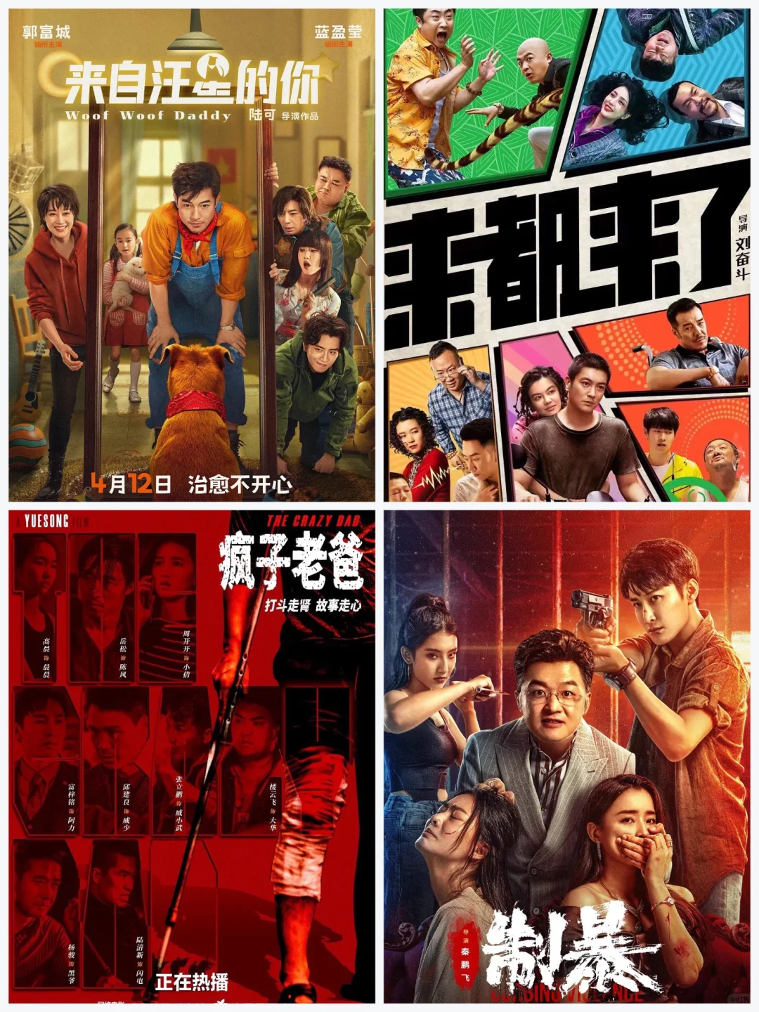 2024观影片单🔥你错过了几部❓