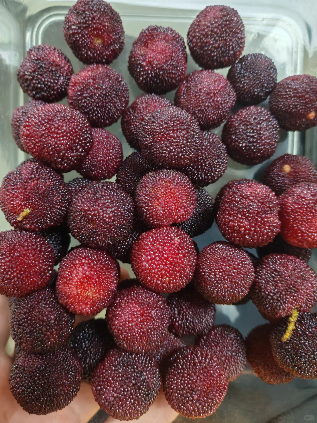 深圳软件销售太难了