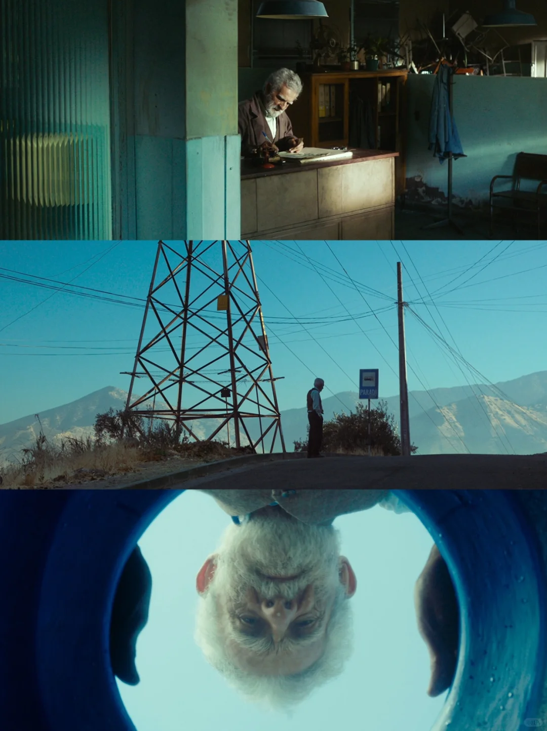 冷门神作后劲太大！美到窒息的“遗忘之诗”