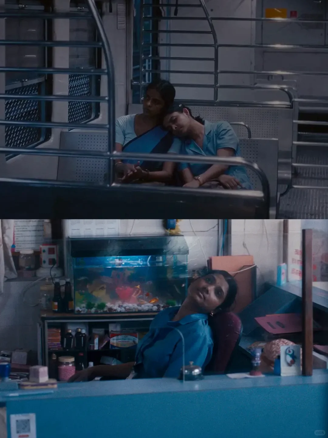 5.20放映｜戛纳大奖 惊艳世界的女性主义电影