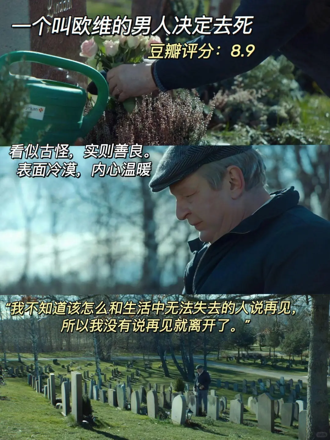 这1️⃣0️⃣部电影治愈了我的精神内耗❤️‍🩹