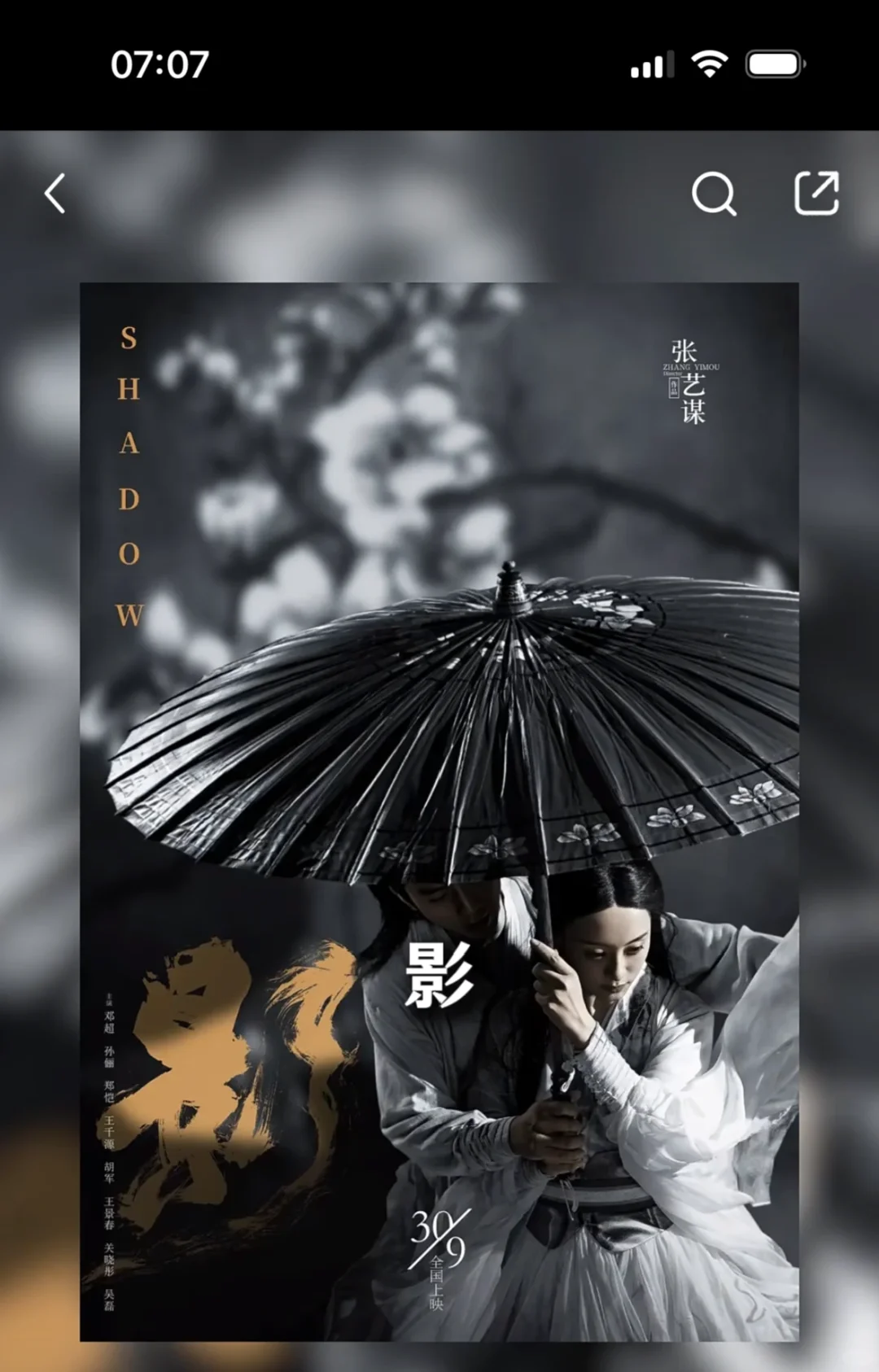 准备看这三部电影提高审美