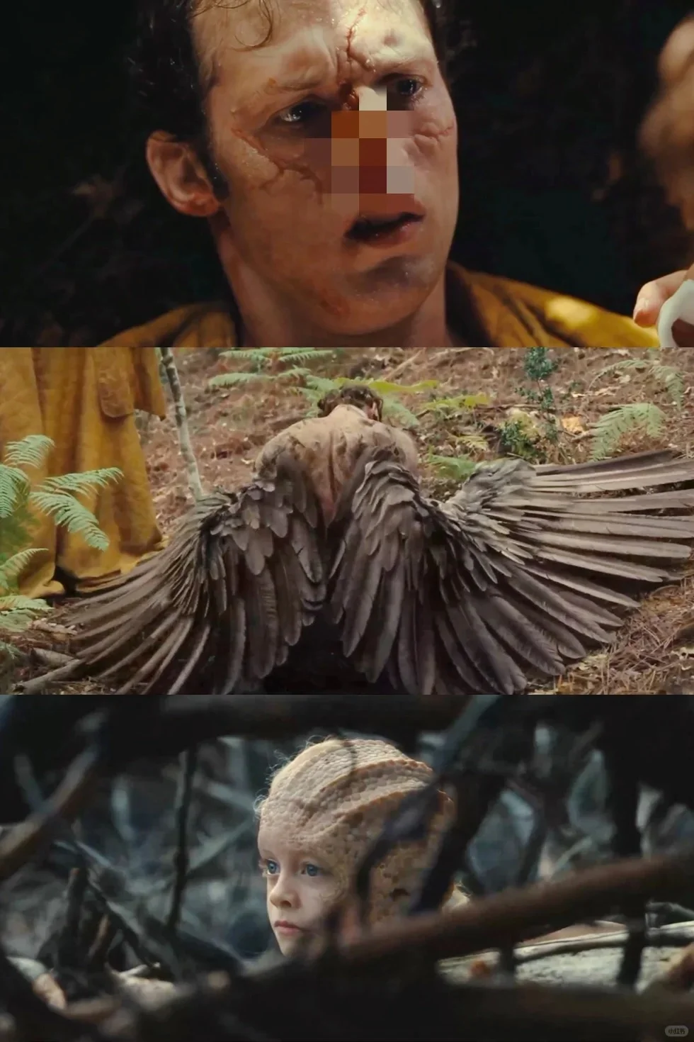 这电影可以看了