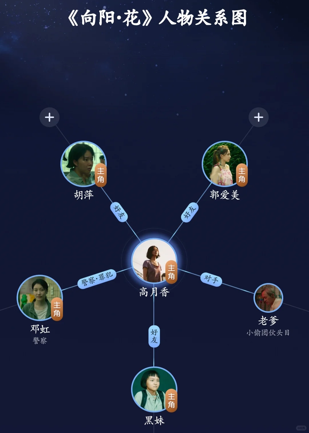 赵丽颖❗最新电影 向阳花❗❗❗相互救赎❗