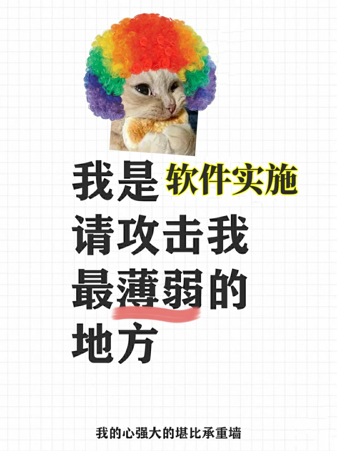 我是软件实施，请攻击我