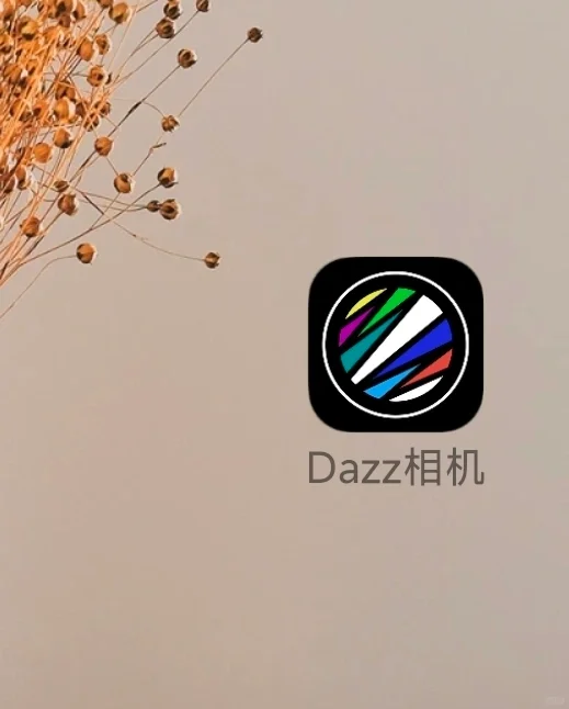 到底安卓有没有正版的Dazz相机呢?