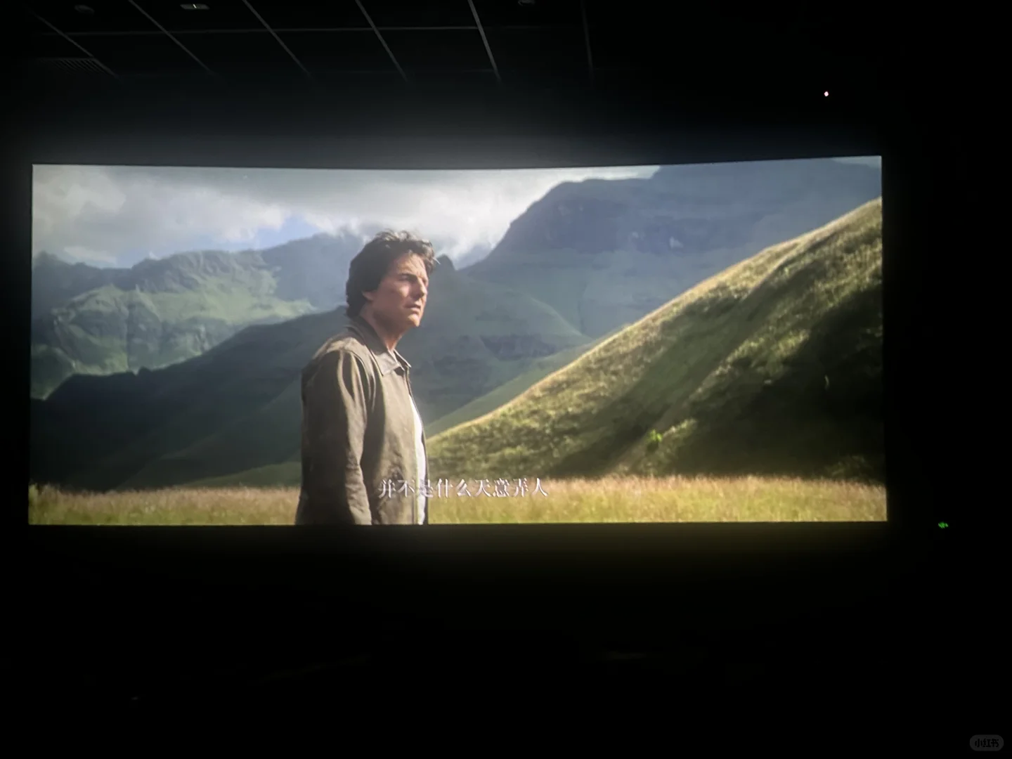 也是看过碟中谍8的人啦