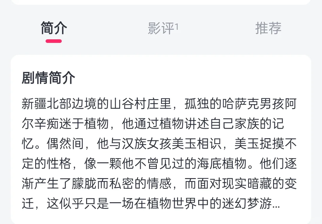 跟随青年电影推荐人于适在上影节看电影咯！