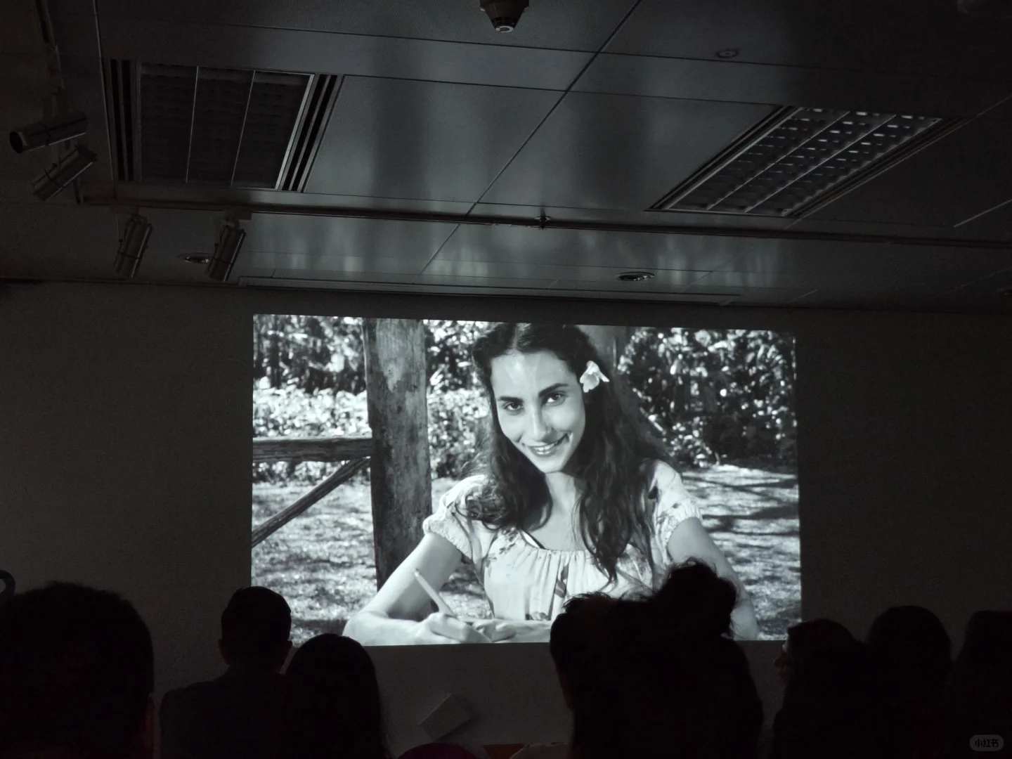 古巴电影美学VS被载入史册的爱情🎦