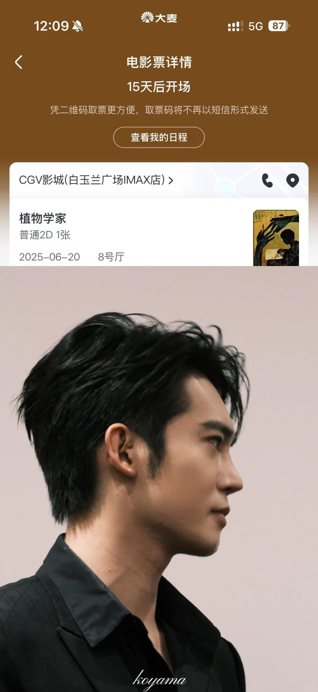 跟随青年电影推荐人于适在上影节看电影咯！