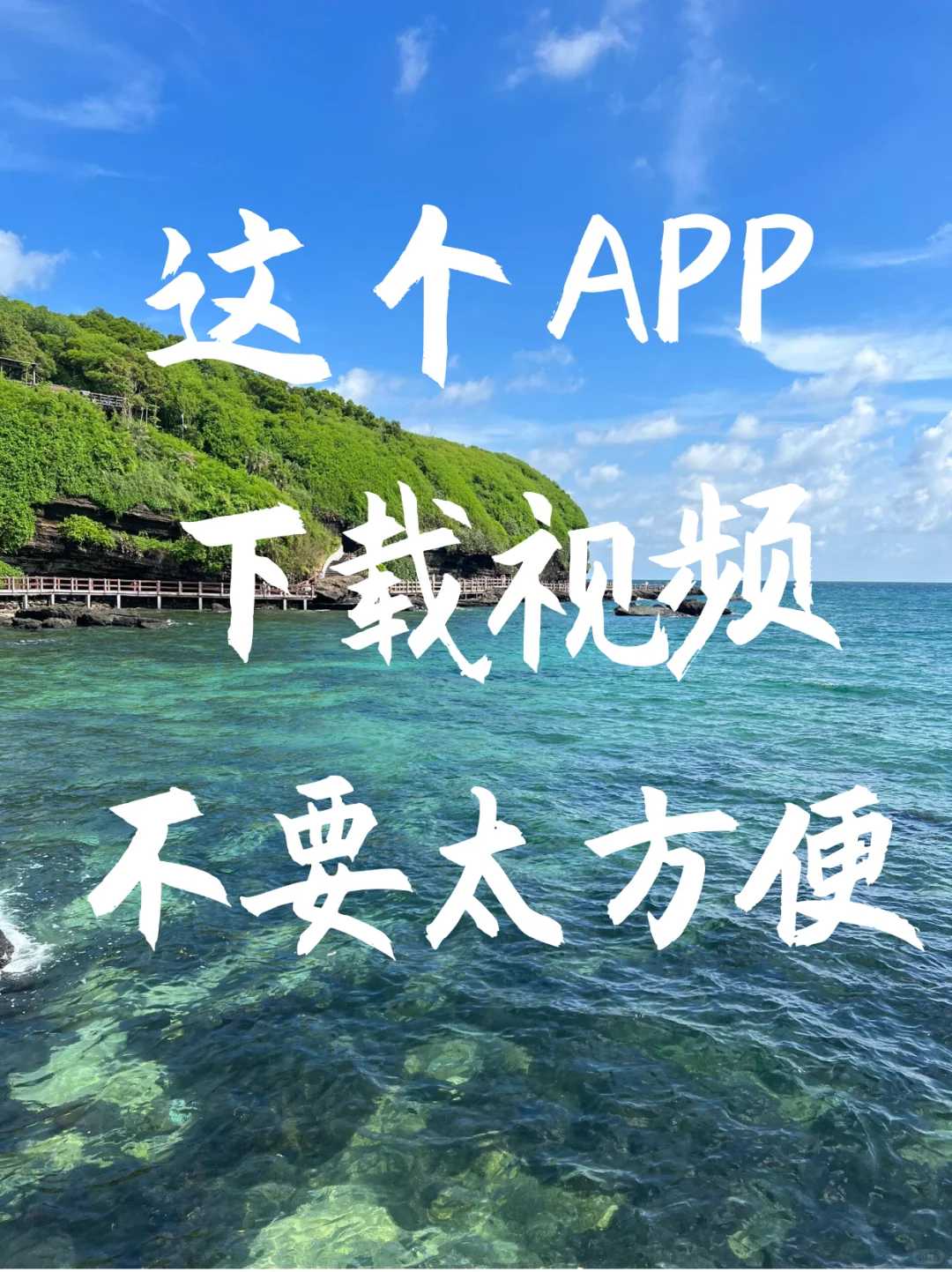 这个APP下载视频不要太方便！✨