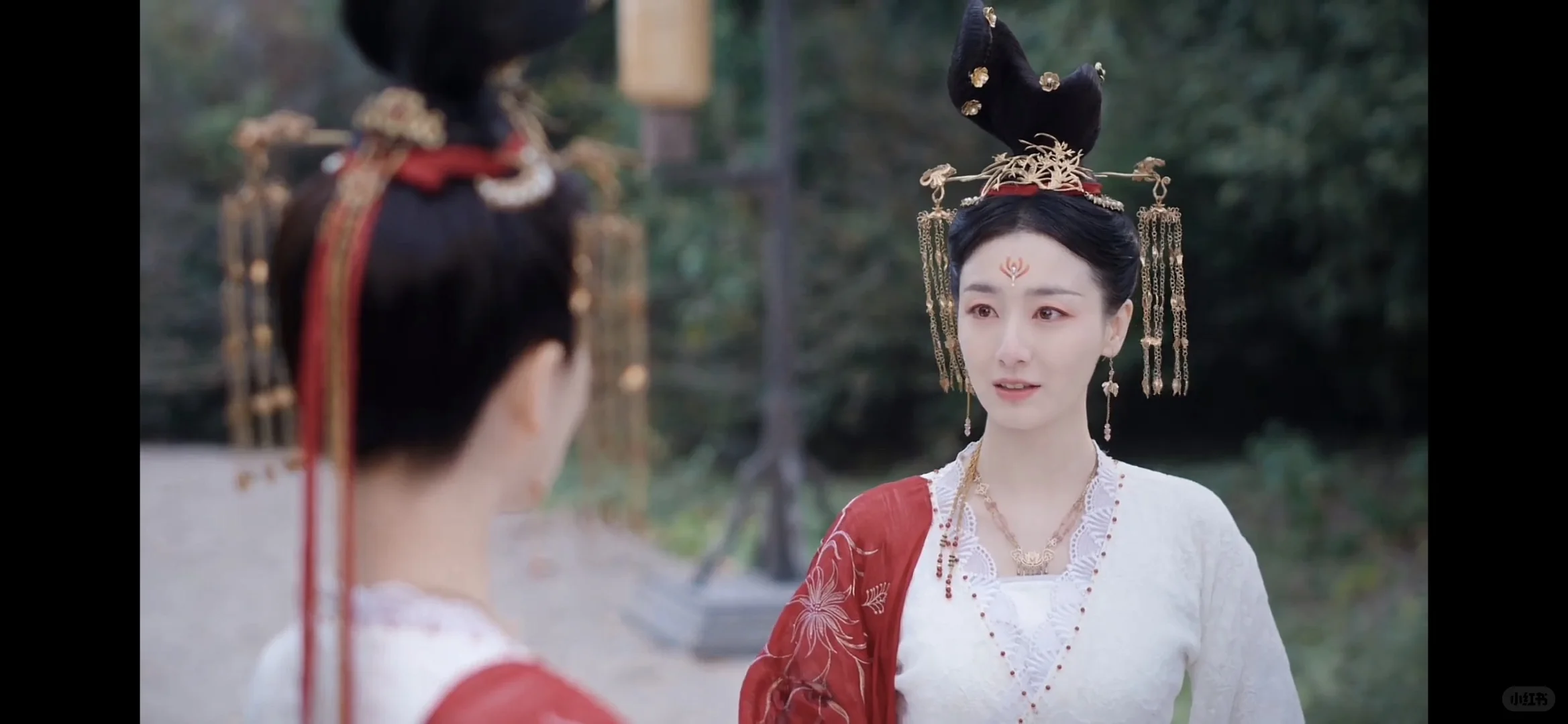 自从用了这个神仙APP再也没开过会员了