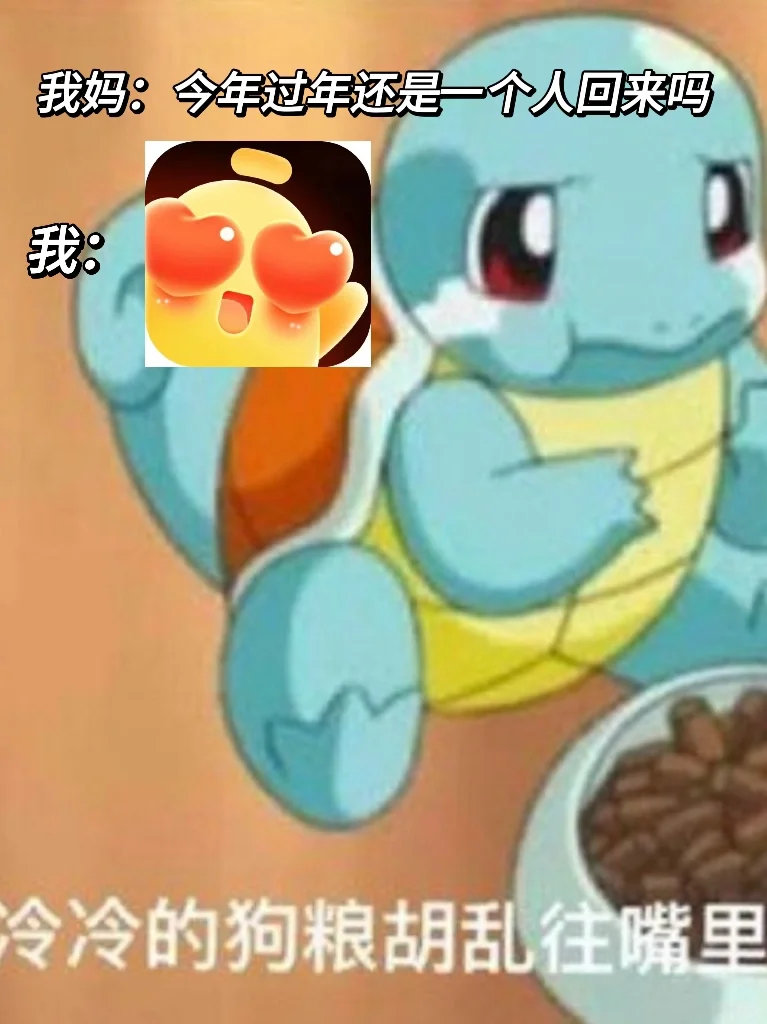 今年过年还是一个人回来吗 我：他趣🫡