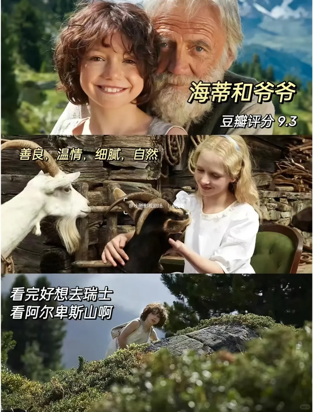 🎬10部必看治愈神片✨告别内耗