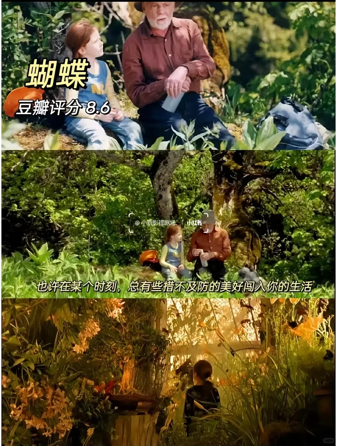 🎬10部必看治愈神片✨告别内耗