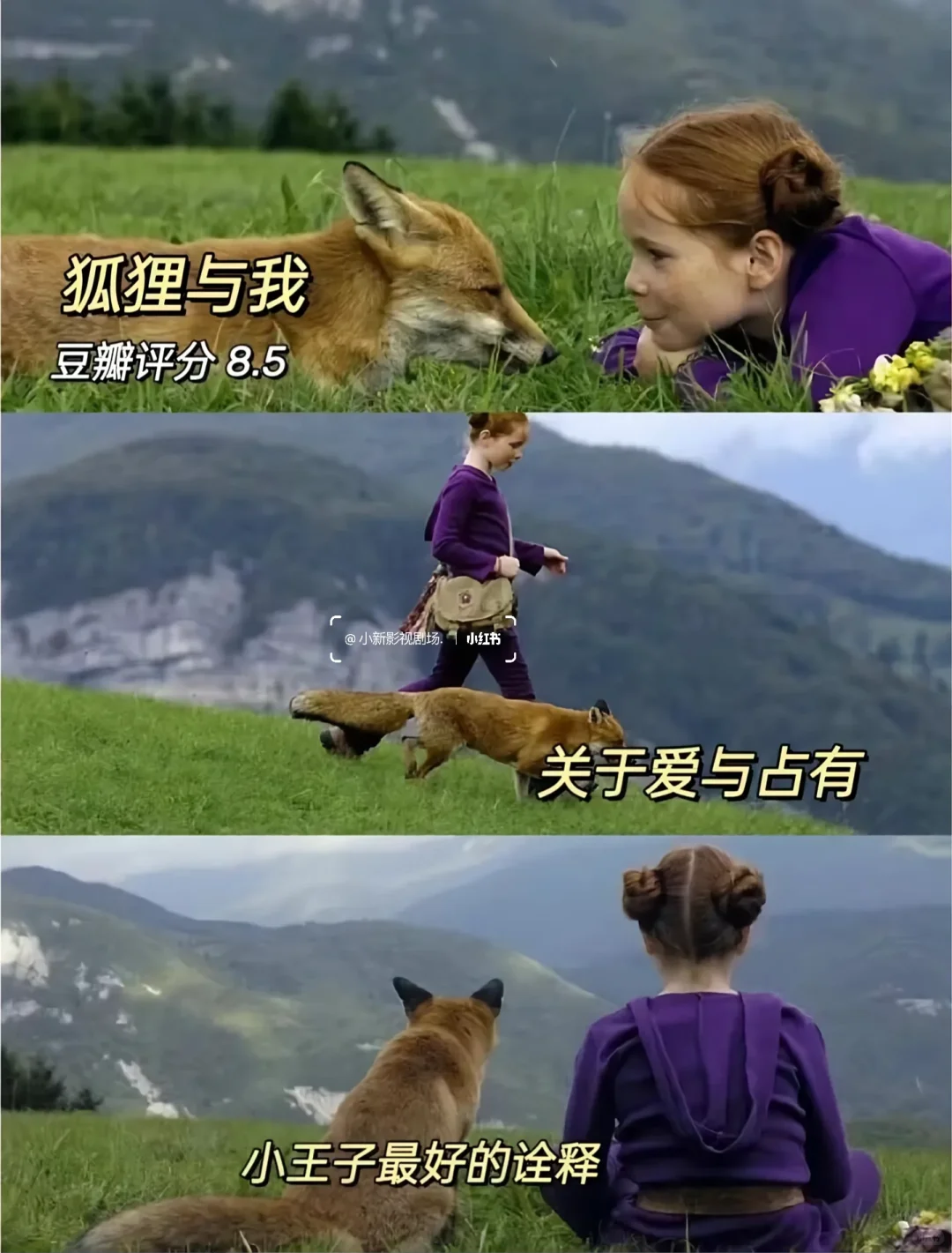 🎬10部必看治愈神片✨告别内耗