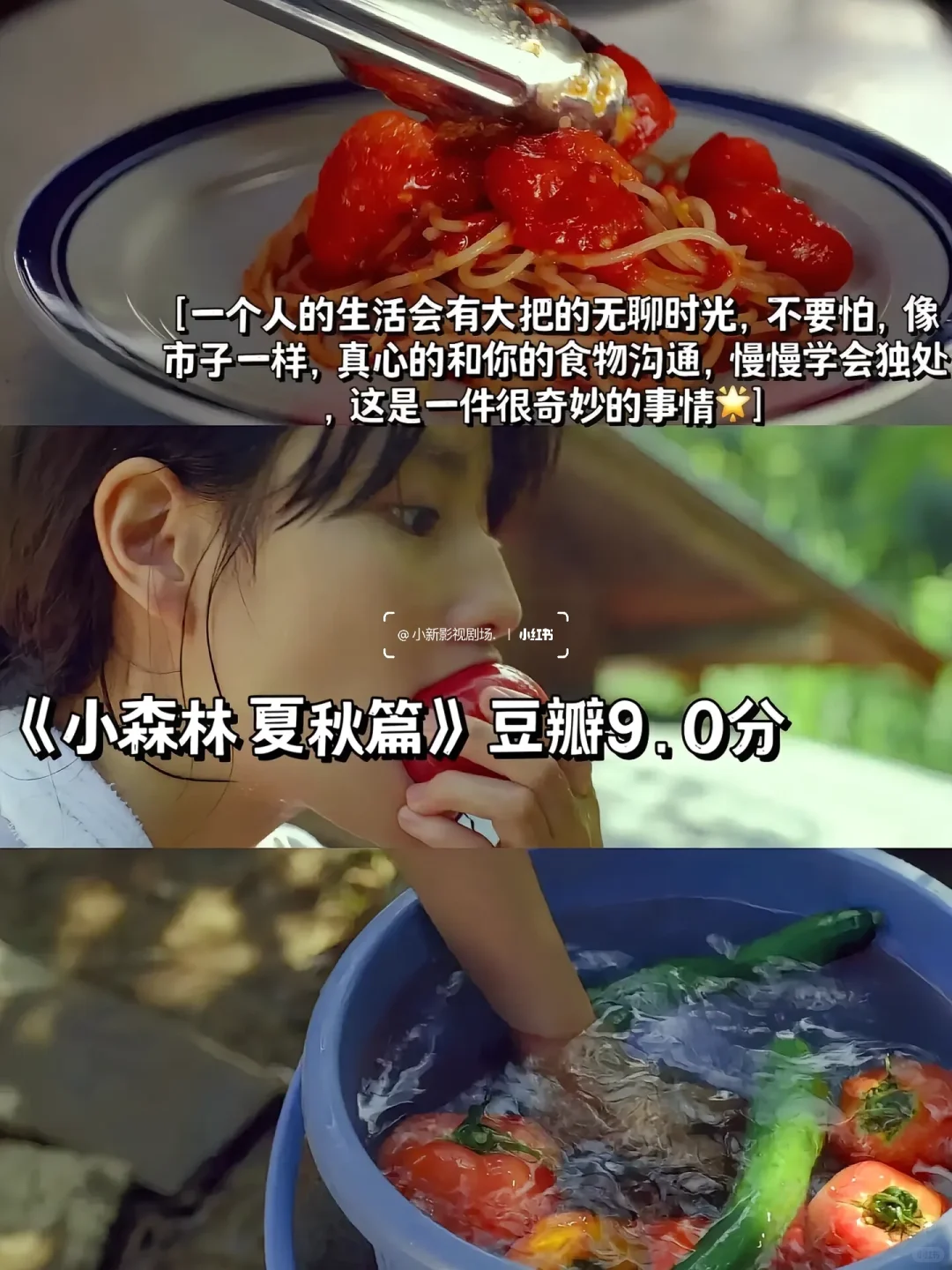 🎬专治emo！狂刷这10部高分电影