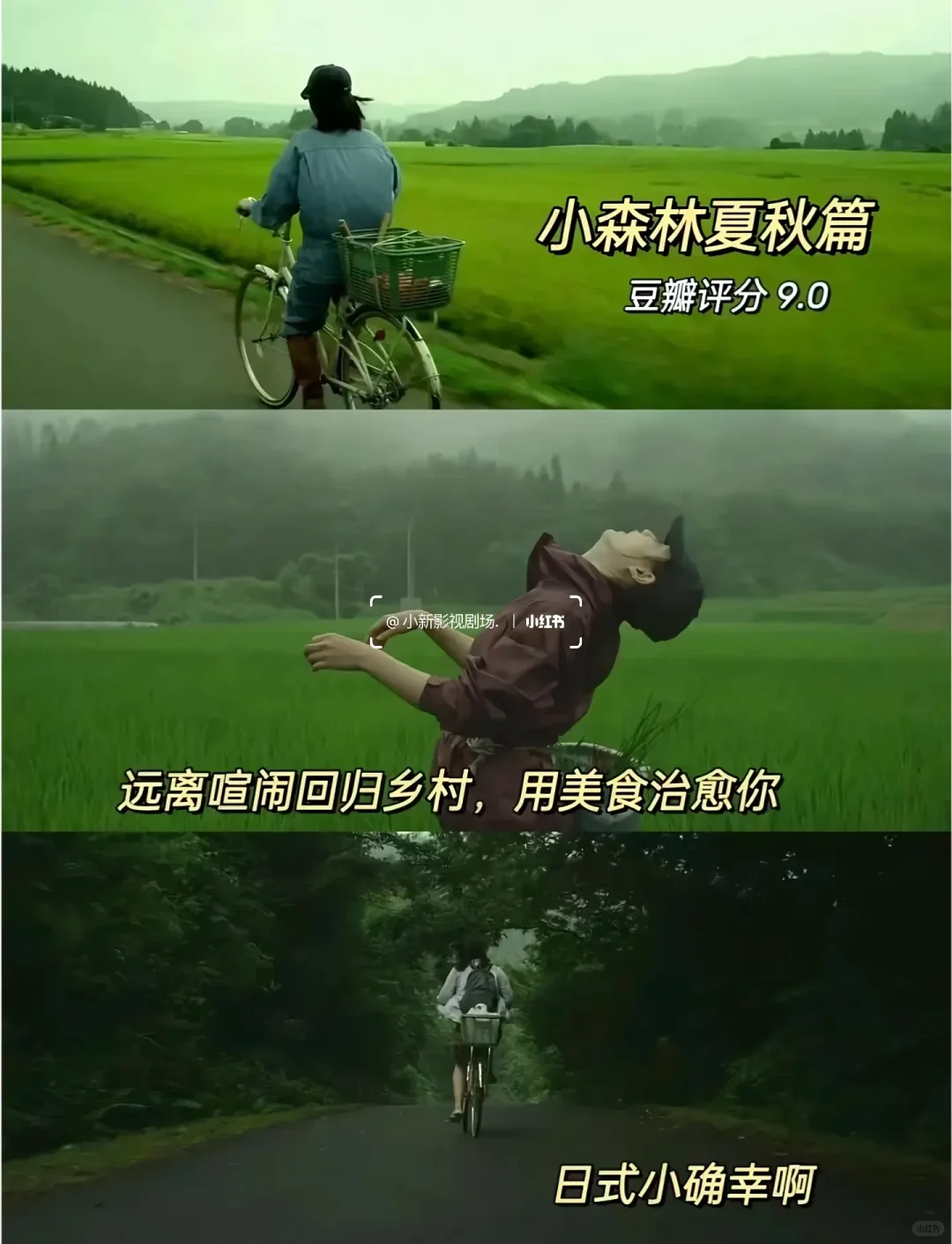 🎬10部必看治愈神片✨告别内耗