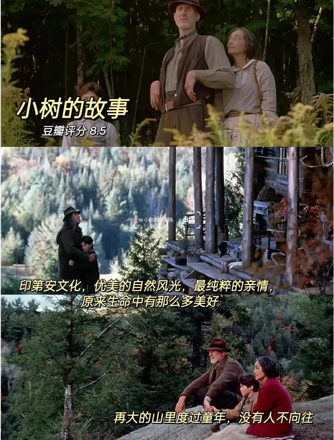 🎬10部必看治愈神片✨告别内耗