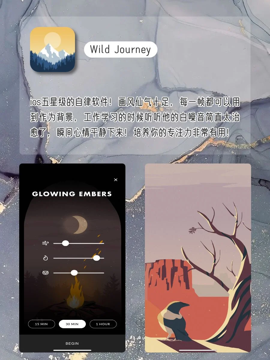 女生✨手机1%电量也要拥有APP‼️