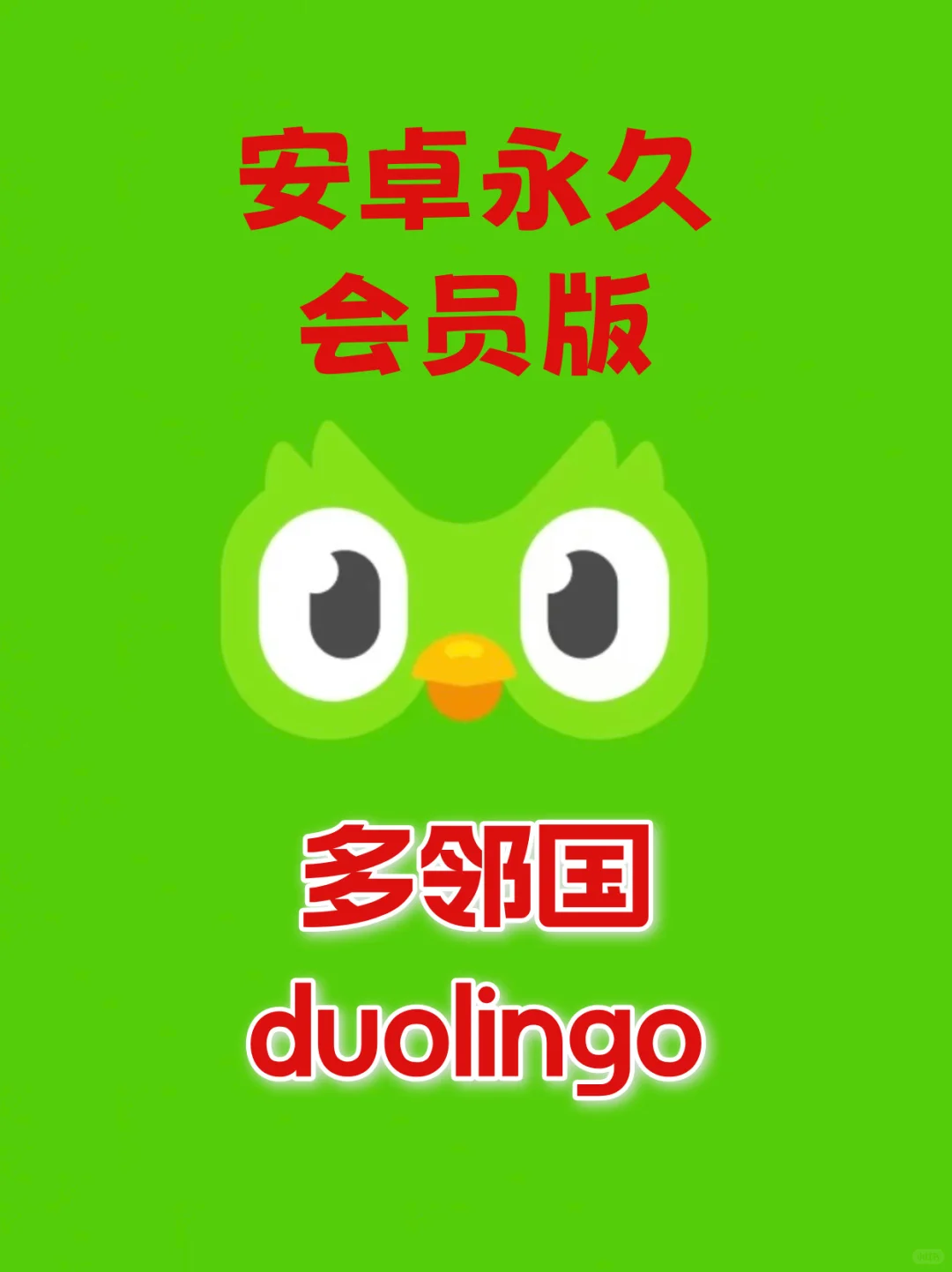 多邻国安卓会员版，学外语永久免费！