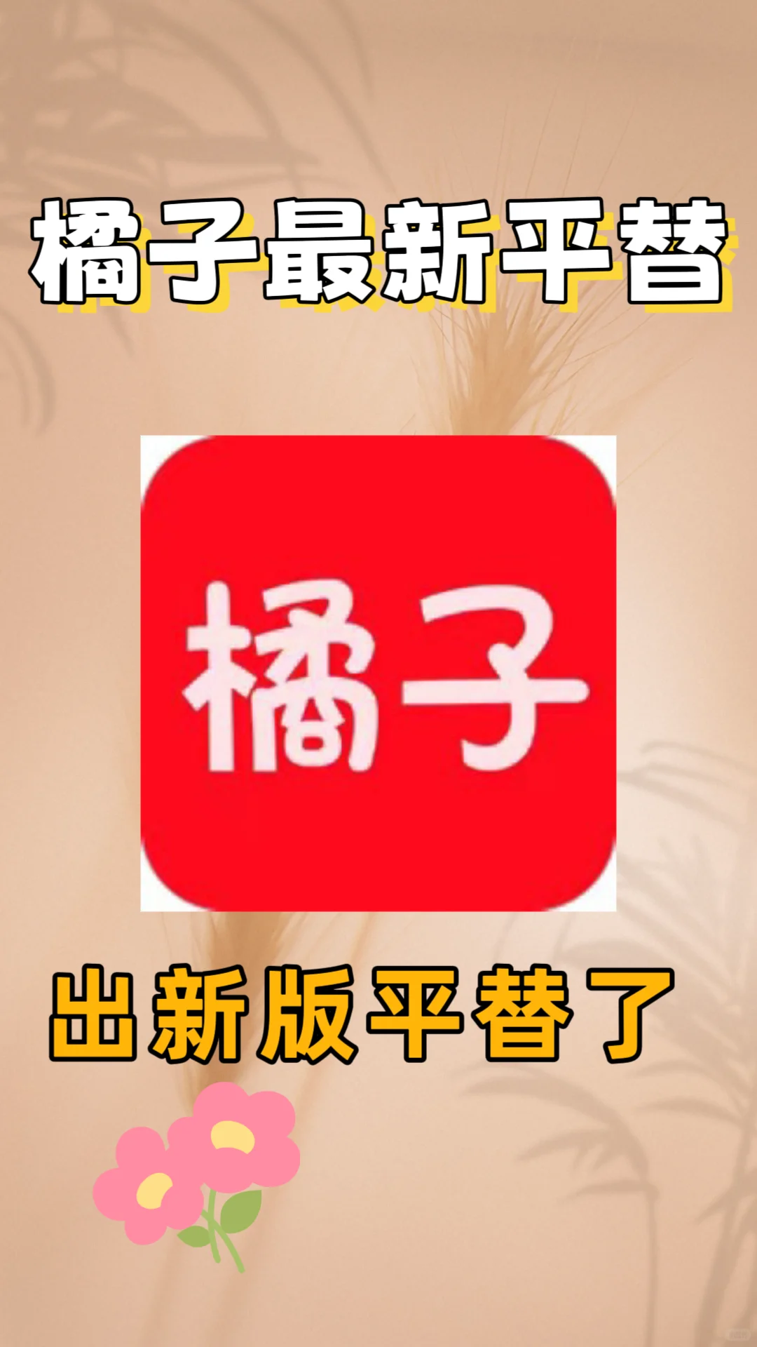 橘子出最新版平替啦