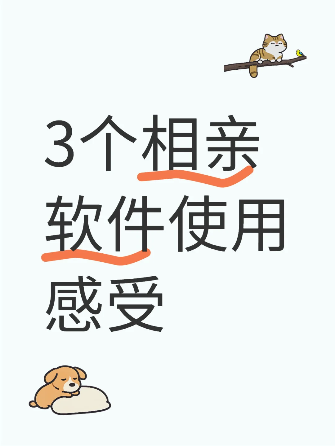 相亲app使用感受