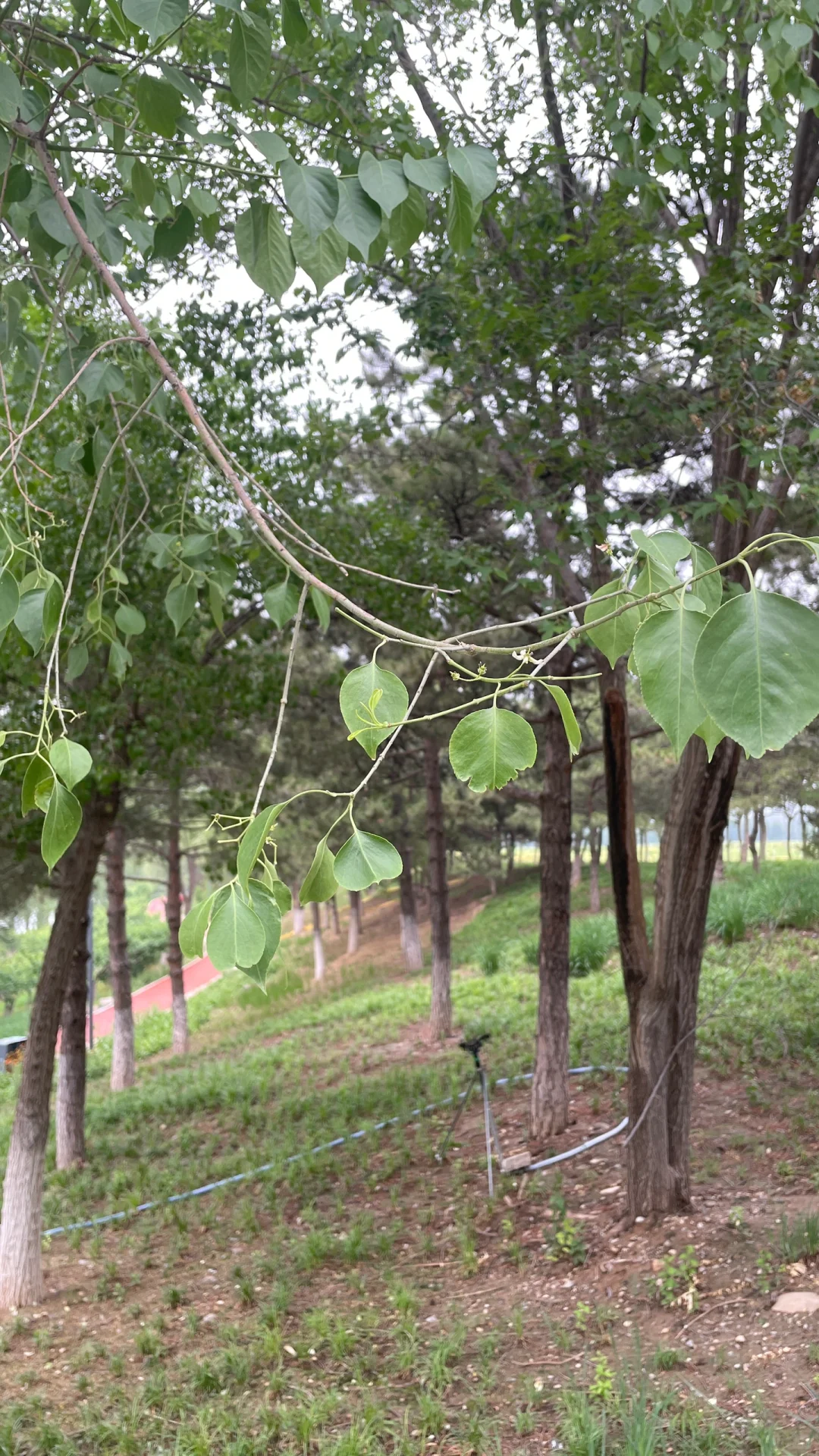 手机各app都是毒气，远离毒气！