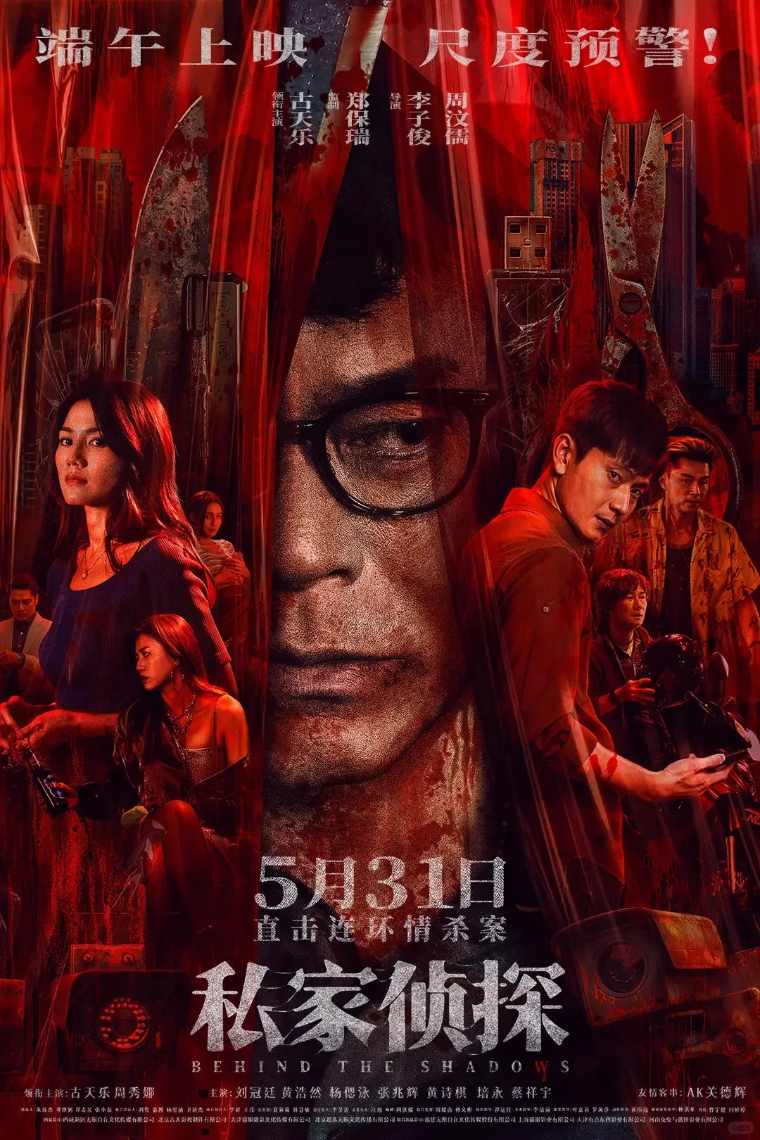 《私家侦探》：犯罪心理与人性迷宫🎥