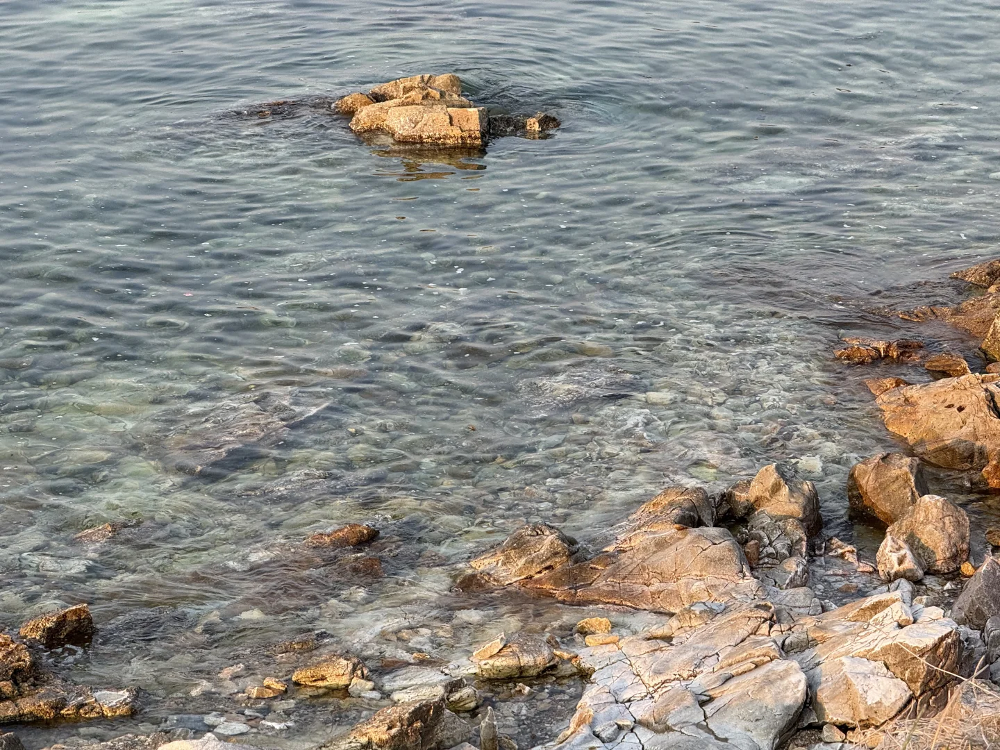 已经没有吸引我的手机app了