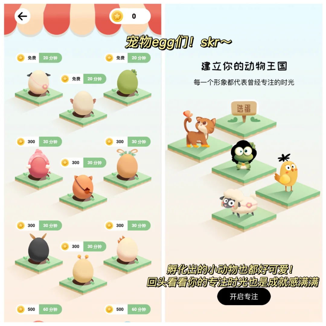 安卓又可以了‼️可爱到爆的提高专注力APP