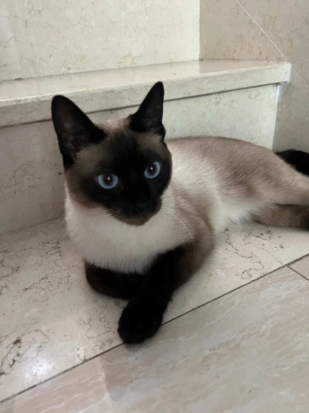 一站式爵士学习App开发进度更新