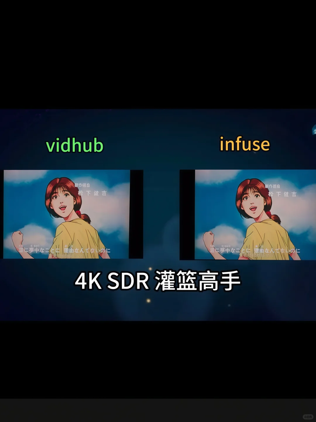 Vidhub播放器评测，全平台观影神器！
