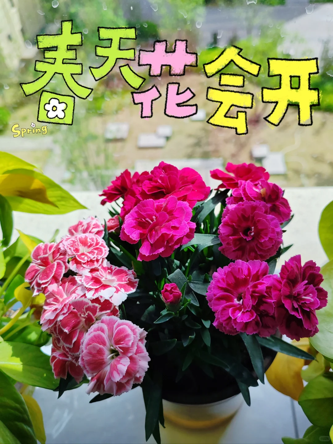 挑战测评100款🧱钱软件—第二十款