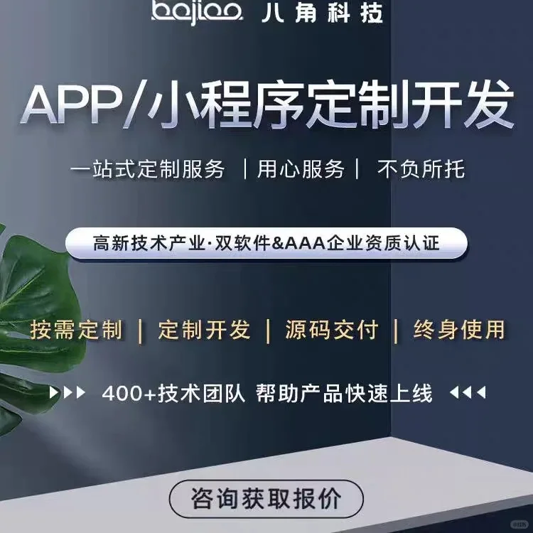 八角科技一家成立11年致力于软件开发的公司