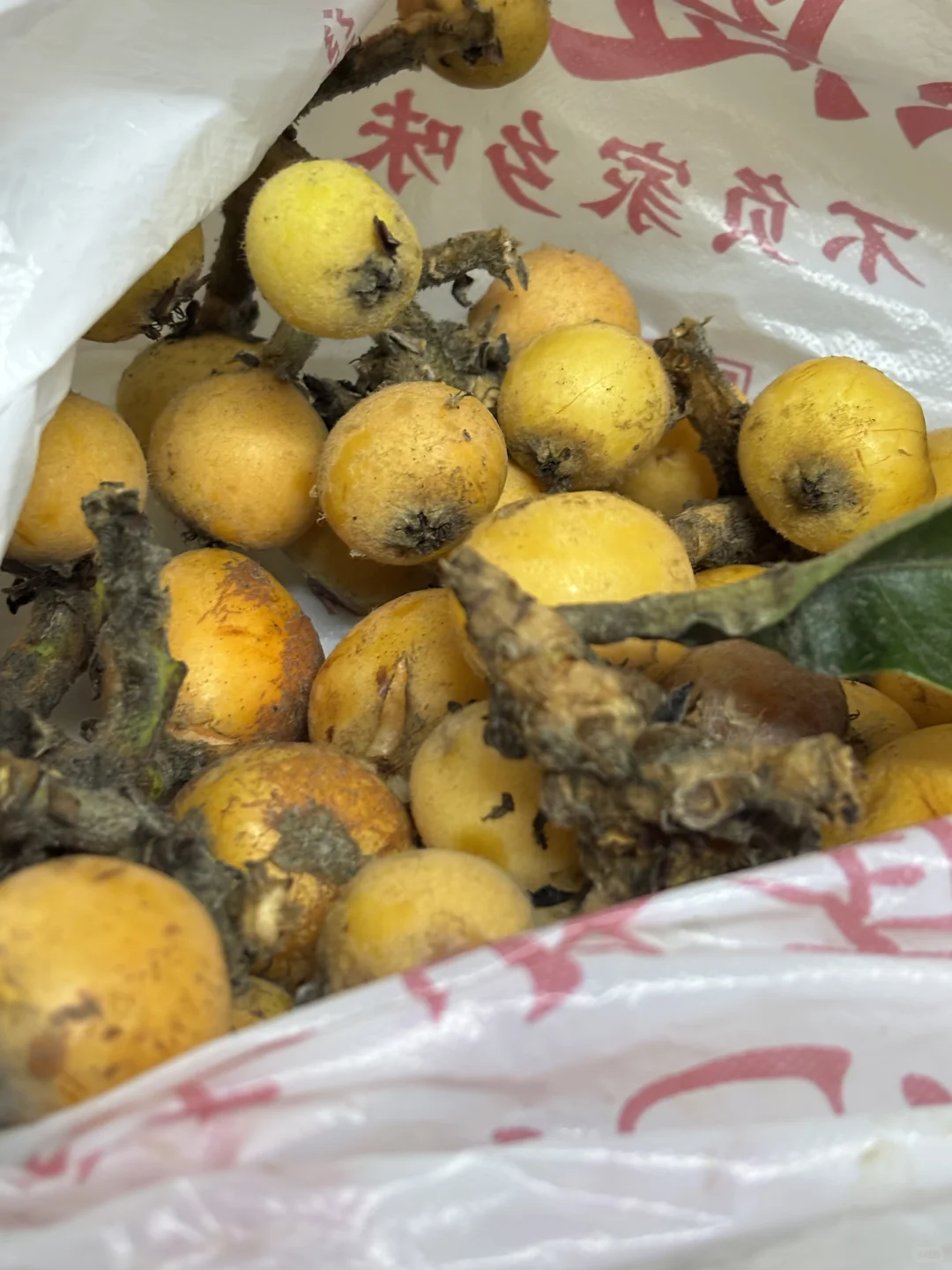 小🍠真是我用过最离不开的软件