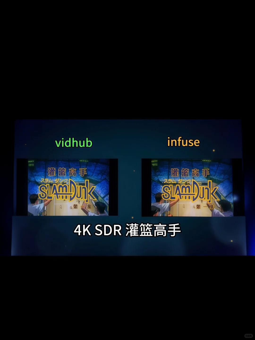 Vidhub播放器评测，全平台观影神器！