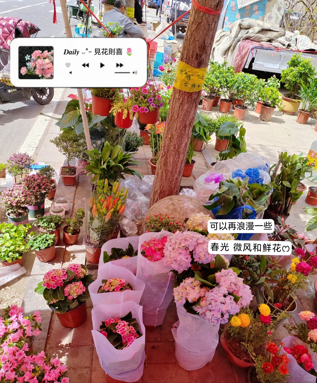 挑战测评100款🧱钱软件—第二十款