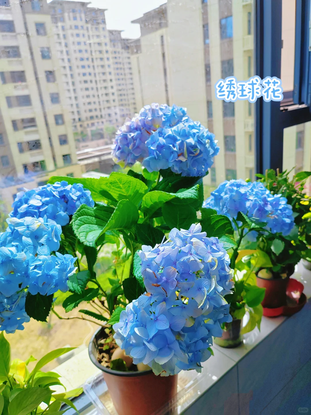 挑战测评100款🧱钱软件—第二十款