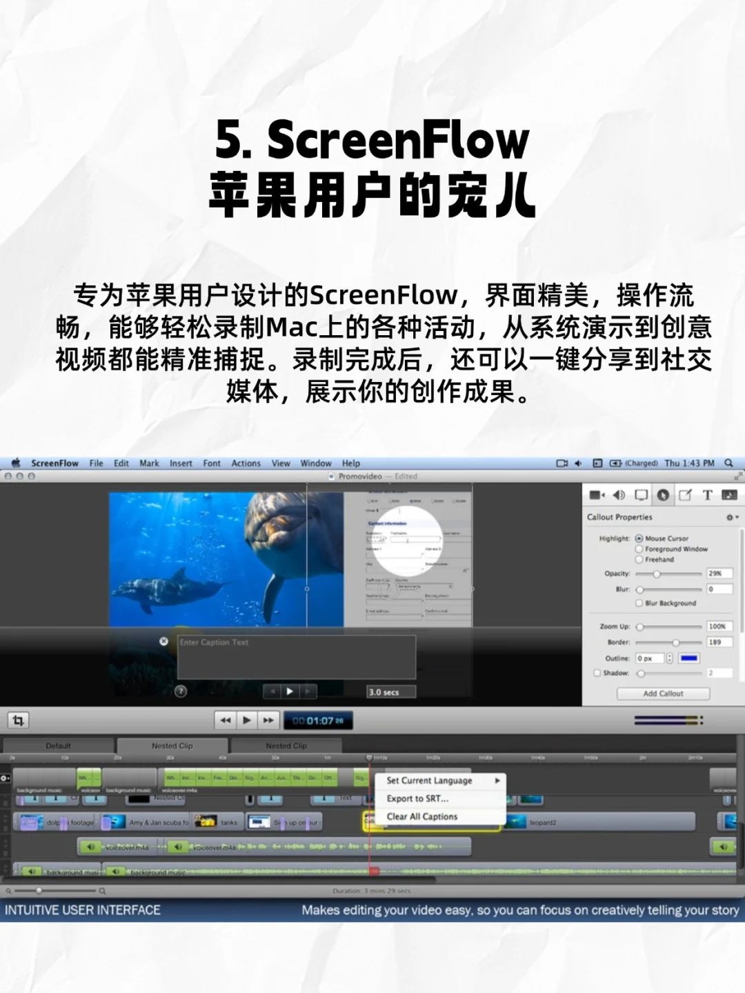 电脑录屏软件怎么选？8 款工具实测📝