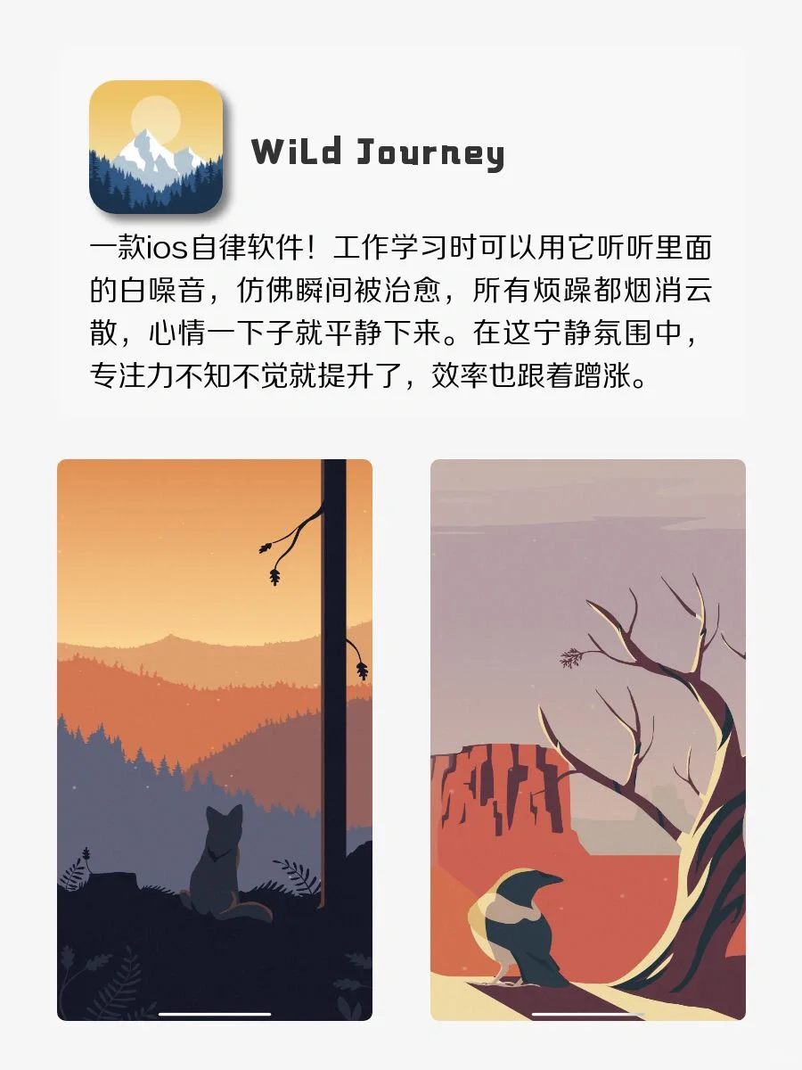 iPhone指南｜6款超好用的宝藏APP！